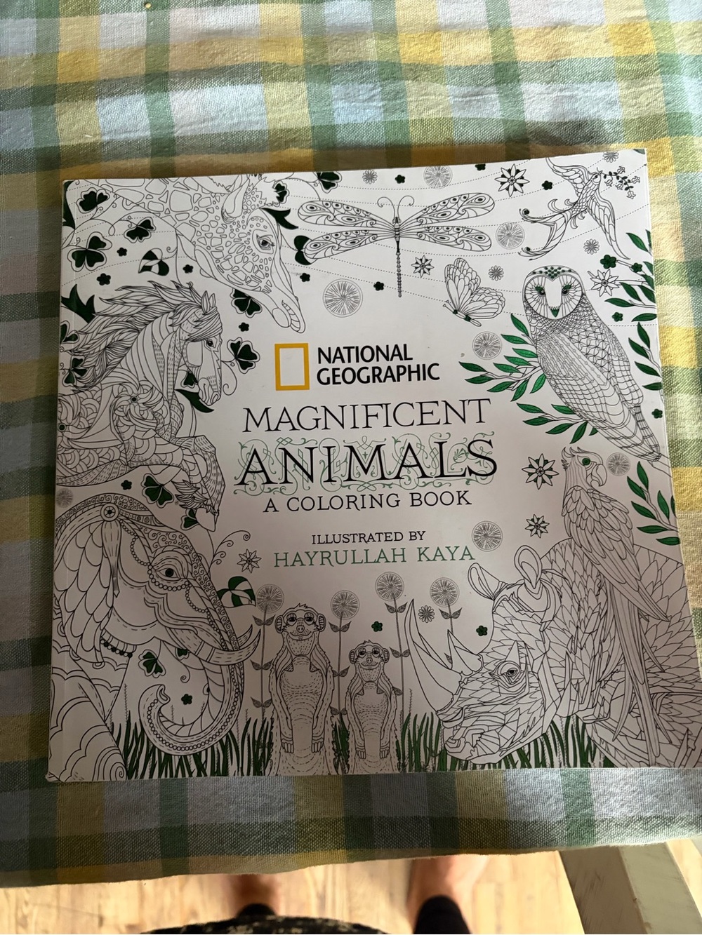 National Geographic Magnificent Animals Coloring Book - White and Green Accents